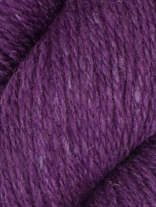 Kathmandu DK 100 by Queensland Eggplant #17