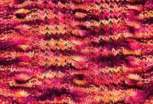 Blanket of Knowledge Knit Pattern May 2024