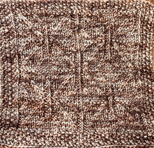 June 2024 Blanket of Knowledge Knit Pattern