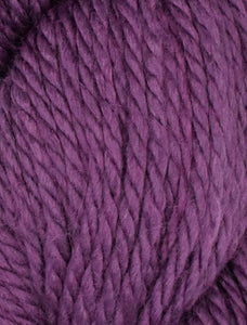 Acogedor Alpaca Chunky de Ella Rae #564 Iris 