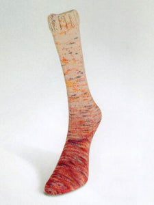 Paint Gradient Sock by Laines du Nord #18