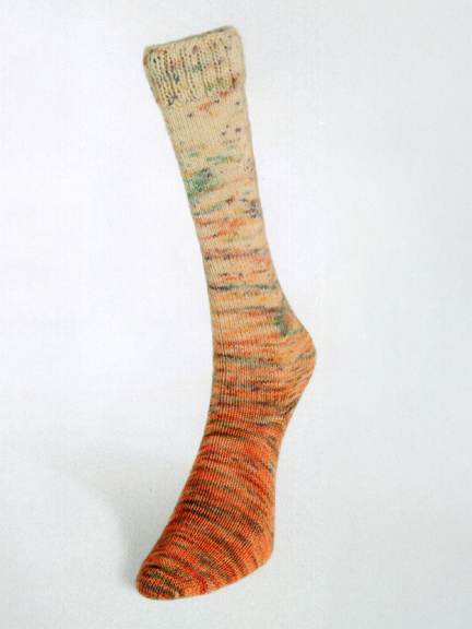 Paint Gradient Sock by Laines du Nord #19