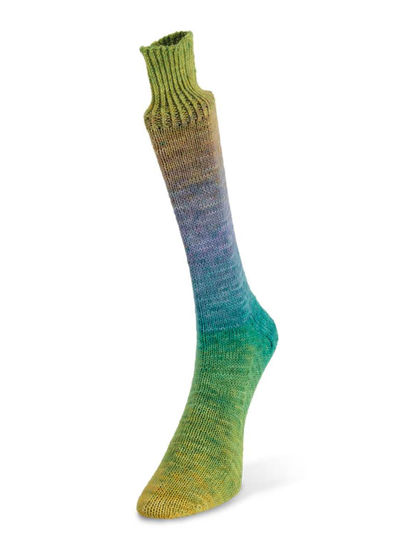 Watercolor Sock by Laines du Nord #100 Brown/Blue/Green/Yellow