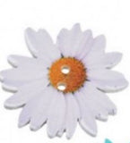 1 3/8 Inch Flower Shaped Wood Button with 2 holes