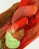 Seriously Sock in Red Robin by Hot Springs Fiber Co.